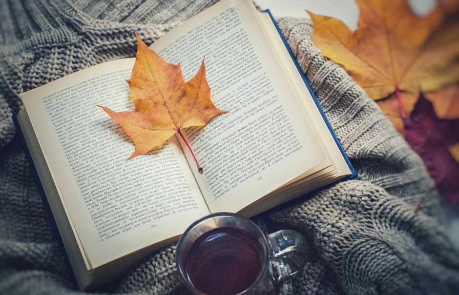 A warm scene featuring an open book, maple leaf, and a cup of tea on a knitted blanket, symbolizing cozy fall reading.